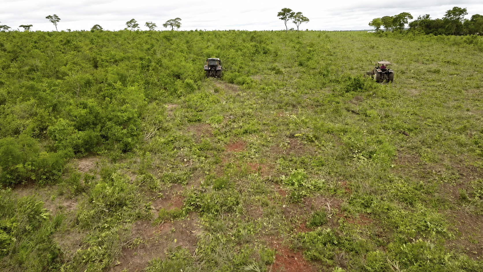 Roçadeira de Correntes trabalhando no campo